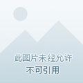 龙起洪荒