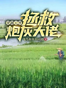 穿越七零,拯救炮灰大佬
