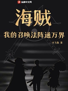 海贼：我的召唤法阵通万界