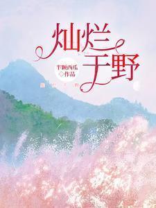 灿烂于野
