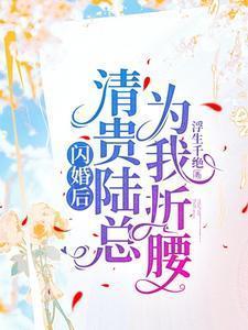闪婚后,清贵陆总为我折腰