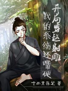 开局穿越射雕,我的系统还嘴硬