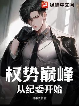 权势巅峰:从纪委开始