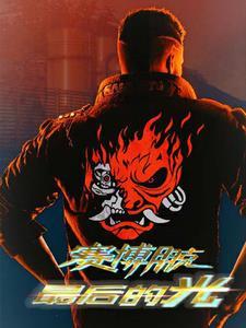 赛博朋克:最后的光