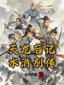 天龙后记,水浒别传