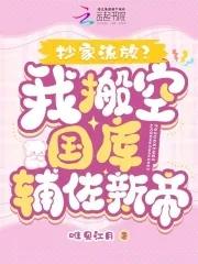 抄家流放?我搬空国库辅佐新帝