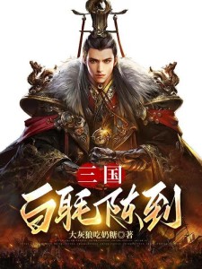 三国:白毦陈到
