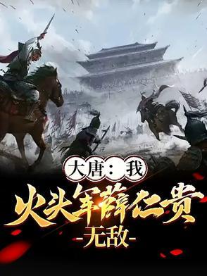 大唐:我,火头军薛仁贵,无敌