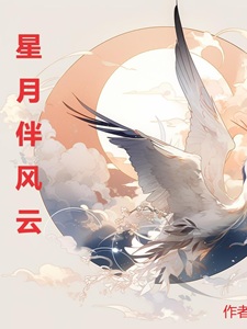 星月伴风云