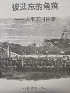 被遗忘的角落:太平天国往事