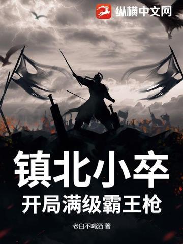 镇北小卒:开局满级霸王枪