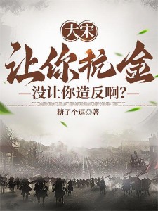 大宋:让你抗金,没让你造反啊?