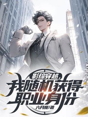 影综穿越,我随机获得职业身份
