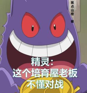 精灵:这个培育屋老板不懂对战
