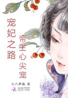宠妃之路:帝王心尖宠