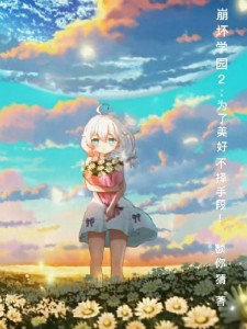 崩坏学园二:为了美好不择手段!