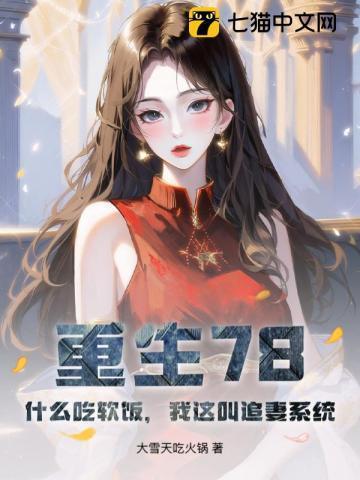 重生78:什么吃软饭,我这叫追妻系统