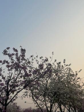 搬空家底去下乡