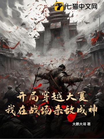 开局穿越大夏,我在战场杀敌成神