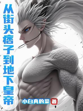 从街头痞子到地下皇帝