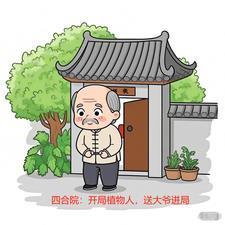 四合院:开局植物人,送大爷进局