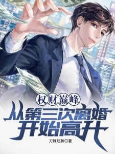 权财巅峰,从第三次离婚开始高升