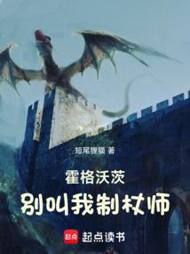 霍格沃茨:别叫我制杖师