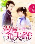 漫漫追夫路:老公到怀里来