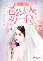 甜婚蜜宠:老公大人停一停