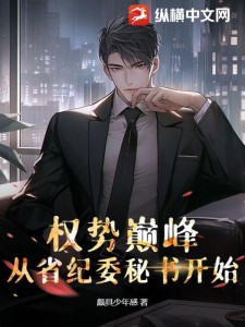 权势巅峰:从省纪委秘书开始