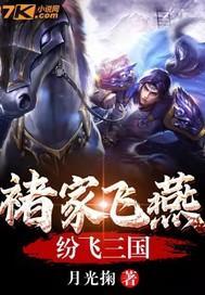 褚家飞燕纷飞三国