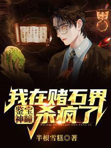 鉴宝神瞳:我在赌石界杀疯了