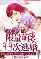 从天儿降:限量萌妻99次逃婚