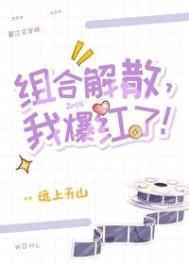 组合解散,我爆红了!