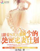 甜爱N次方:颜少的绝密追妻计划