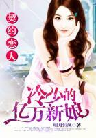 契约恋人:冷少的亿万新娘