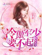 隐婚蜜爱:冷傲军少,要不起