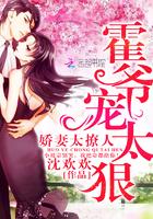 娇妻太撩人:霍爷,宠太狠!