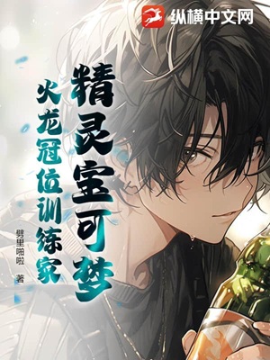 精灵宝可梦：火龙冠位训练家