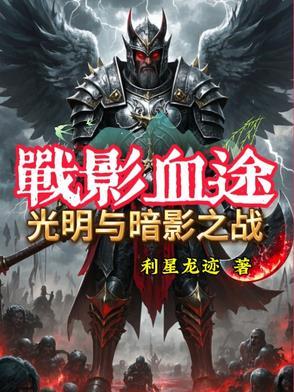 战影血途：光明与暗影之战