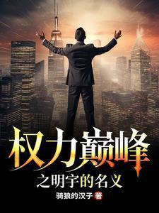 权力巅峰之明宇的名义