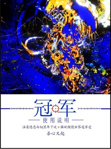 冠军使用说明［电竞］