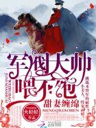 甜妻缠绵:军阀大帅,有点坏