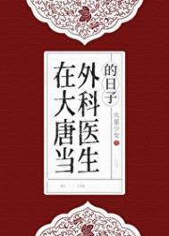 在大唐当外科医生的日子