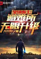 全球废土:避难所无限升级