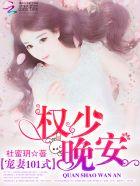 宠妻101式:权少,晚安!