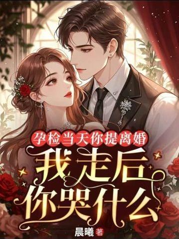 孕检当天你提离婚,我走后你哭什么