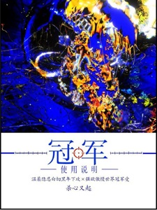 冠军使用说明［电竞］